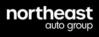 Northeast Auto Group logo