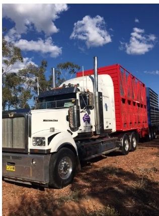 Image for 2011 Western Star 0