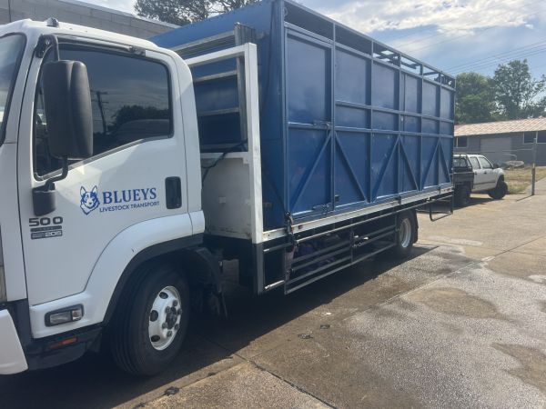 2015 Isuzu FRR 500 Livestock image