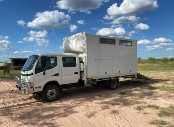 2007 Hino 300 Flatbed with engineered horse box image