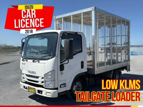 2018 Isuzu NLR 45-150 Cage/Tyre Body image