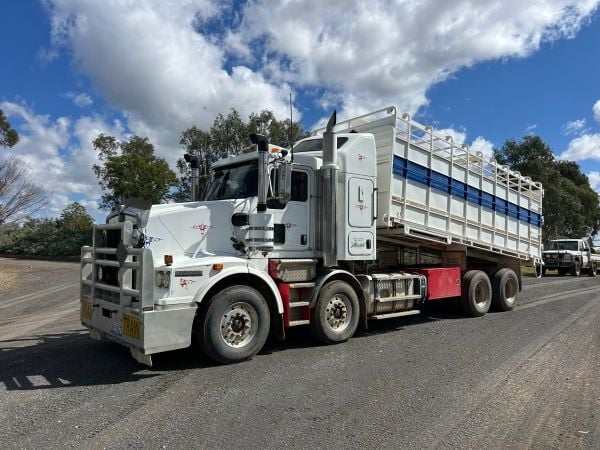 2014 Kenworth T659 Stock/Cattle crate image