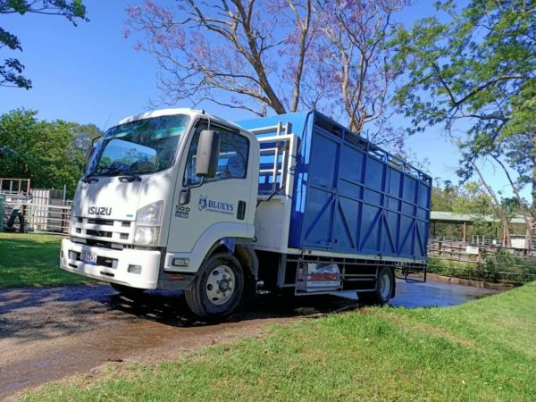 2015 Isuzu 500 Livestock image