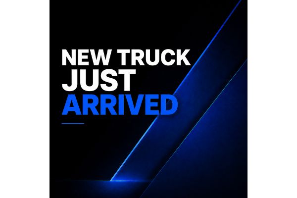 2025 Foton Aumark S 8D15 4x2 image
